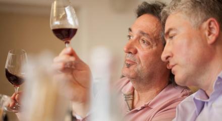 10 Mituri despre vin pe care ar trebui să le uităm - Ghidul tău către un vin bun