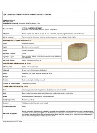 15 brânzeturi maturate românești pe care trebuie să le cunoști și să le încerci