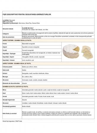 15 brânzeturi maturate românești pe care trebuie să le cunoști și să le încerci