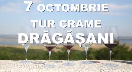 7 octombrie 2017 │ Tur de crame în podgoria Drăgășani
