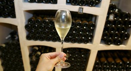 Champagne își redescoperă soiurile: Chardonnay Rosé intră în familia celui mai celebru vin spumant