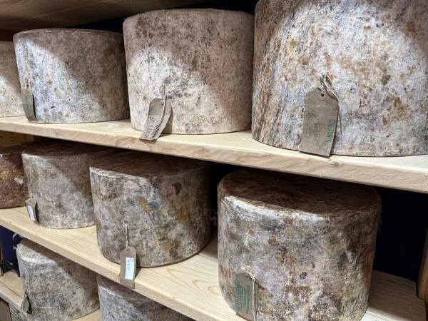 Cheese Bra 2025 - O lume în jurul brânzei artizanale, comunităților și tradițiilor
