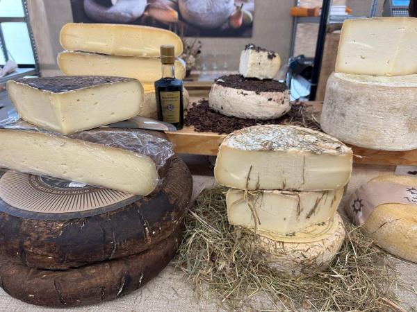 Cheese Bra 2025 - O lume în jurul brânzei artizanale, comunităților și tradițiilor