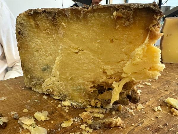 Cheese Bra 2025 - O lume în jurul brânzei artizanale, comunităților și tradițiilor