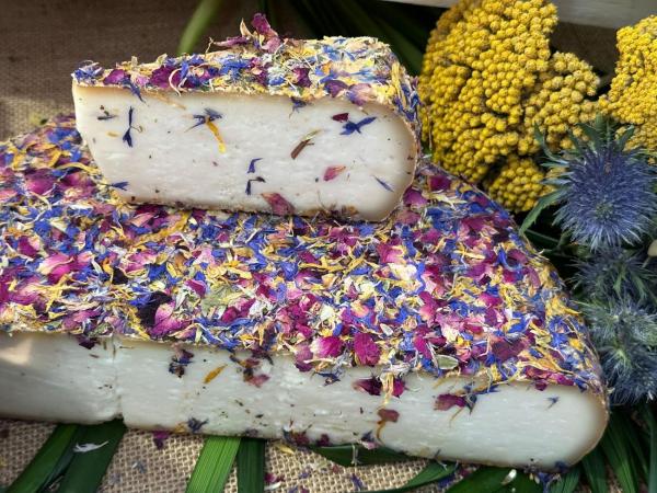 Cheese Bra 2025 - O lume în jurul brânzei artizanale, comunităților și tradițiilor
