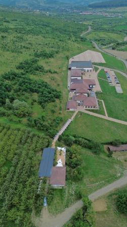 Ciprian Macavei on Jelna Winery: Exploring wine, gastronomy, and hospitality in the heart of Transylvania