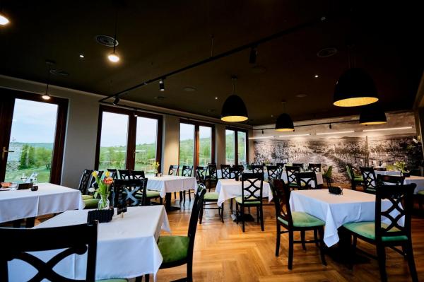 Ciprian Macavei on Jelna Winery: Exploring wine, gastronomy, and hospitality in the heart of Transylvania