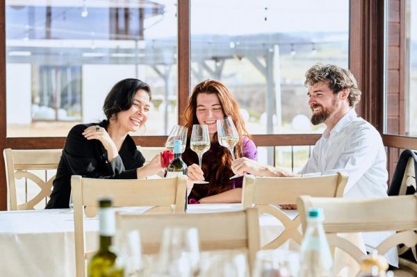 Ciprian Macavei on Jelna Winery: Exploring wine, gastronomy, and hospitality in the heart of Transylvania