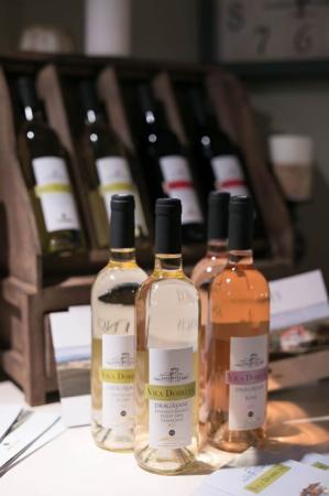 Crama AVINCIS a lansat o nouă gamă de vinuri „VILA DOBRUŞA”
