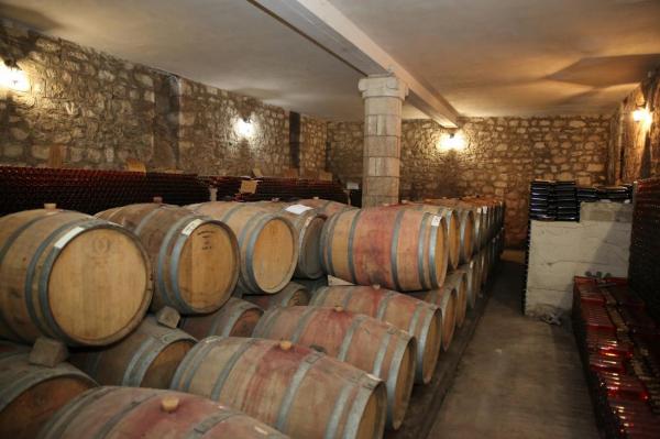 Basilescu Winery - Casa din Vie - Prahova