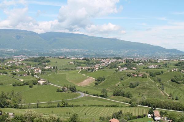 De la atelier la Accademia Internazionale dell'Arte Casearia: Călătoria unui artizan în lumea brânzeturilor italiene   