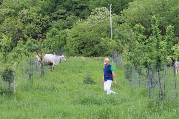 De la atelier la Accademia Internazionale dell'Arte Casearia: Călătoria unui artizan în lumea brânzeturilor italiene   