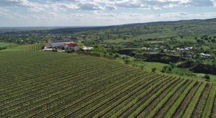 Evadare în Dealu Mare, 27-28 Septembrie 2025 - Tur de crame, degustări de vinuri și povești autentice