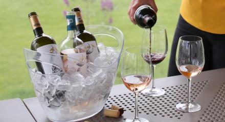 Expert tips for serving wine at its ideal temperature