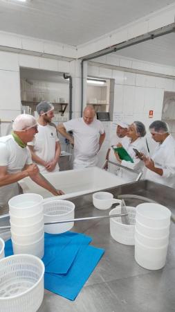 From one workshop to the Accademia Internazionale dell’Arte Casearia: the journey of an artisan into the world of Italian cheeses