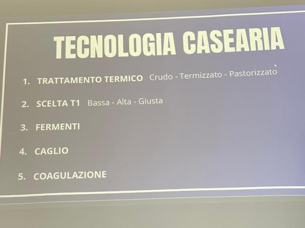 From one workshop to the Accademia Internazionale dell’Arte Casearia: the journey of an artisan into the world of Italian cheeses