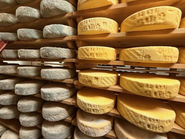 From one workshop to the Accademia Internazionale dell’Arte Casearia: the journey of an artisan into the world of Italian cheeses