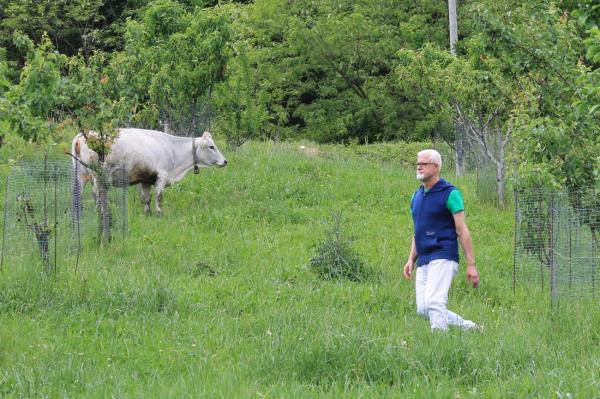 From one workshop to the Accademia Internazionale dell’Arte Casearia: the journey of an artisan into the world of Italian cheeses