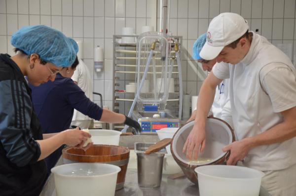 From one workshop to the Accademia Internazionale dell’Arte Casearia: the journey of an artisan into the world of Italian cheeses