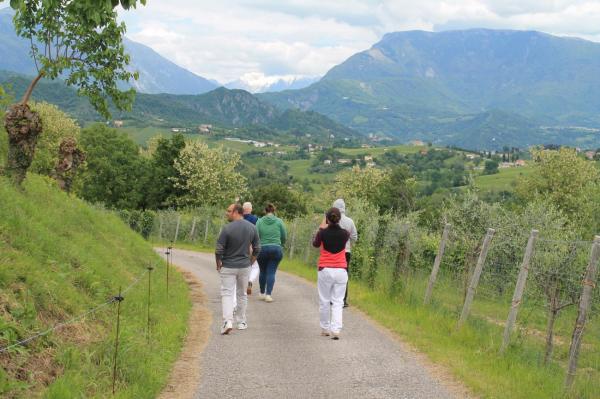 From one workshop to the Accademia Internazionale dell’Arte Casearia: the journey of an artisan into the world of Italian cheeses