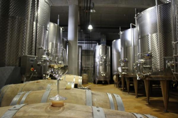 Interview with Mihai Banita, LacertA Winery wine expert