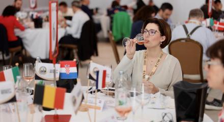 Record de vinuri româneşti la Sesiunea Roze a Concours Mondial de Bruxelles 2025 - Constanţa