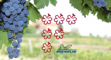 The MICHELIN Guide își extinde expertiza în recomandări și introduce o nouă distincție în lumea vinului