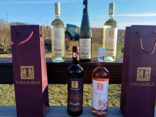 Thesaurus Wines - Timiș