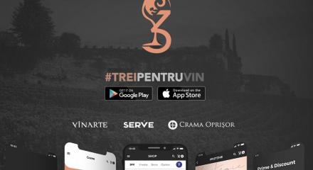 TreiPentruVin.ro - instrument modern de comunicare pentru orice iubitor al vinului