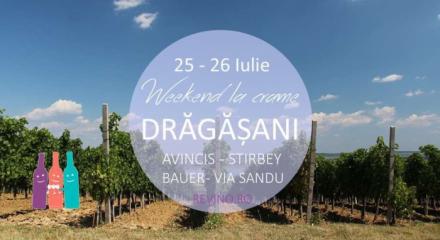 Weekend in Dragasani. Visits and wine tastings at Avincis, Bauer, Stirbey and Via Sandu Wineries