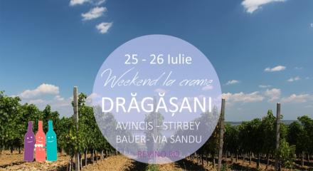 Weekend in Dragasani. Vizite si degustari de vin la cramele: Avincis, Bauer, Stirbey, Via Sandu
