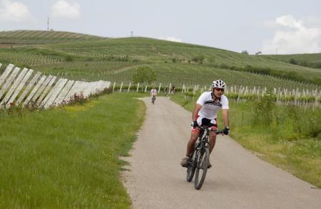 Wine Trips in Romania by bicycle, 21-22 August 2021