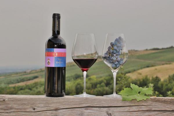 Stirbey Winery - Dragasani