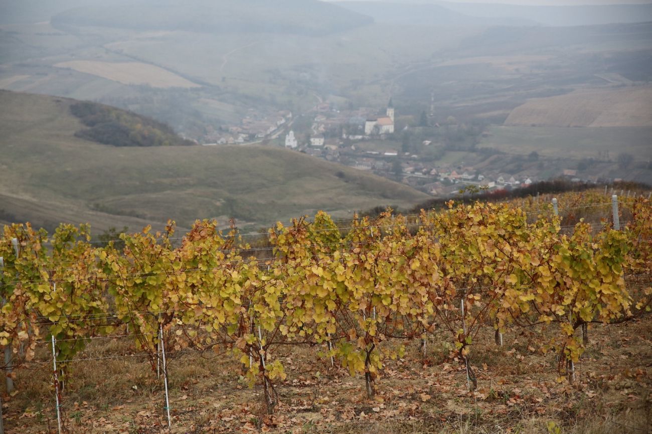 Transylvania by Alina Iancu Revino (3) (1750x1166)