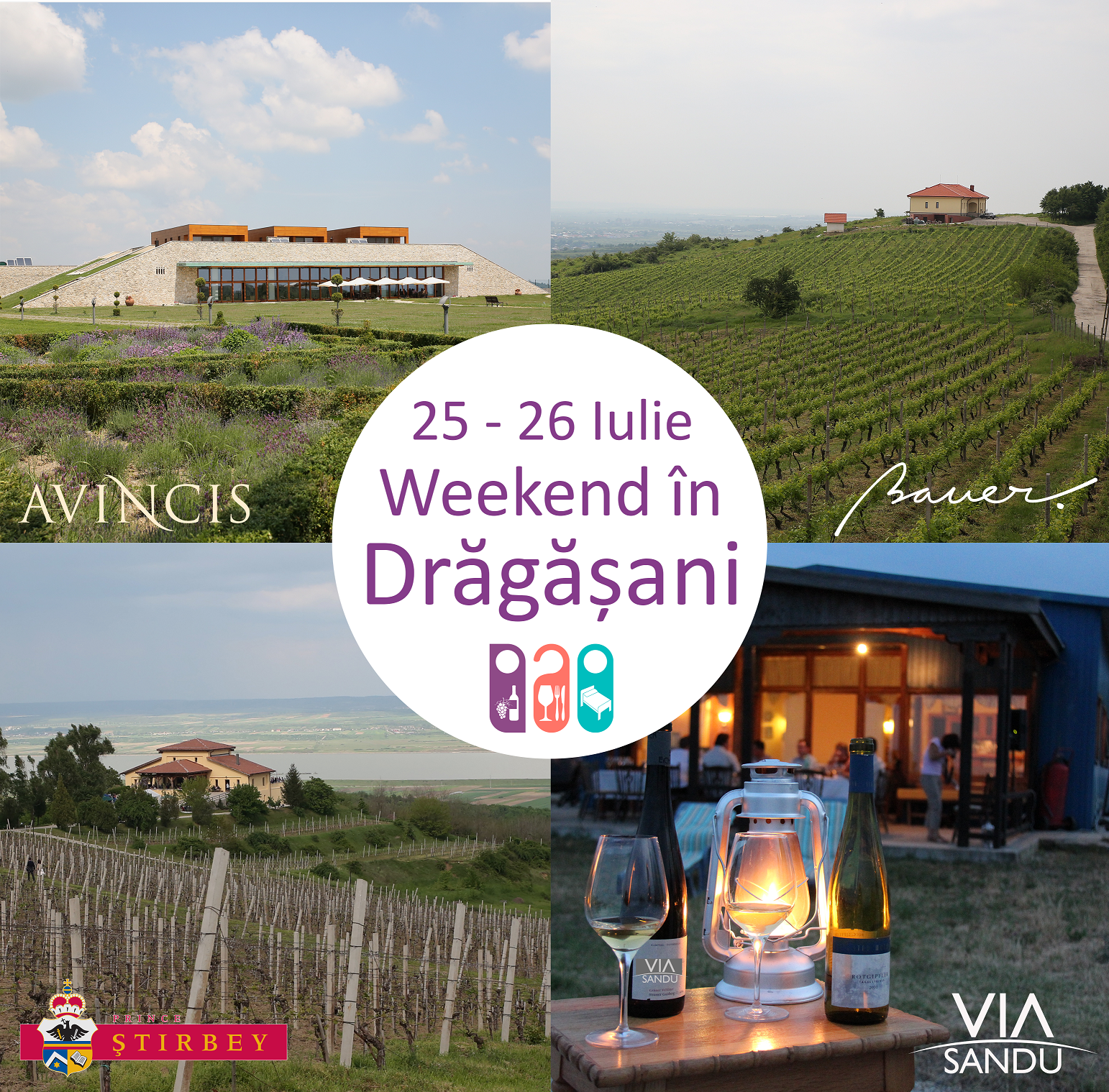 Vizite si degustari de vin in Dragasani