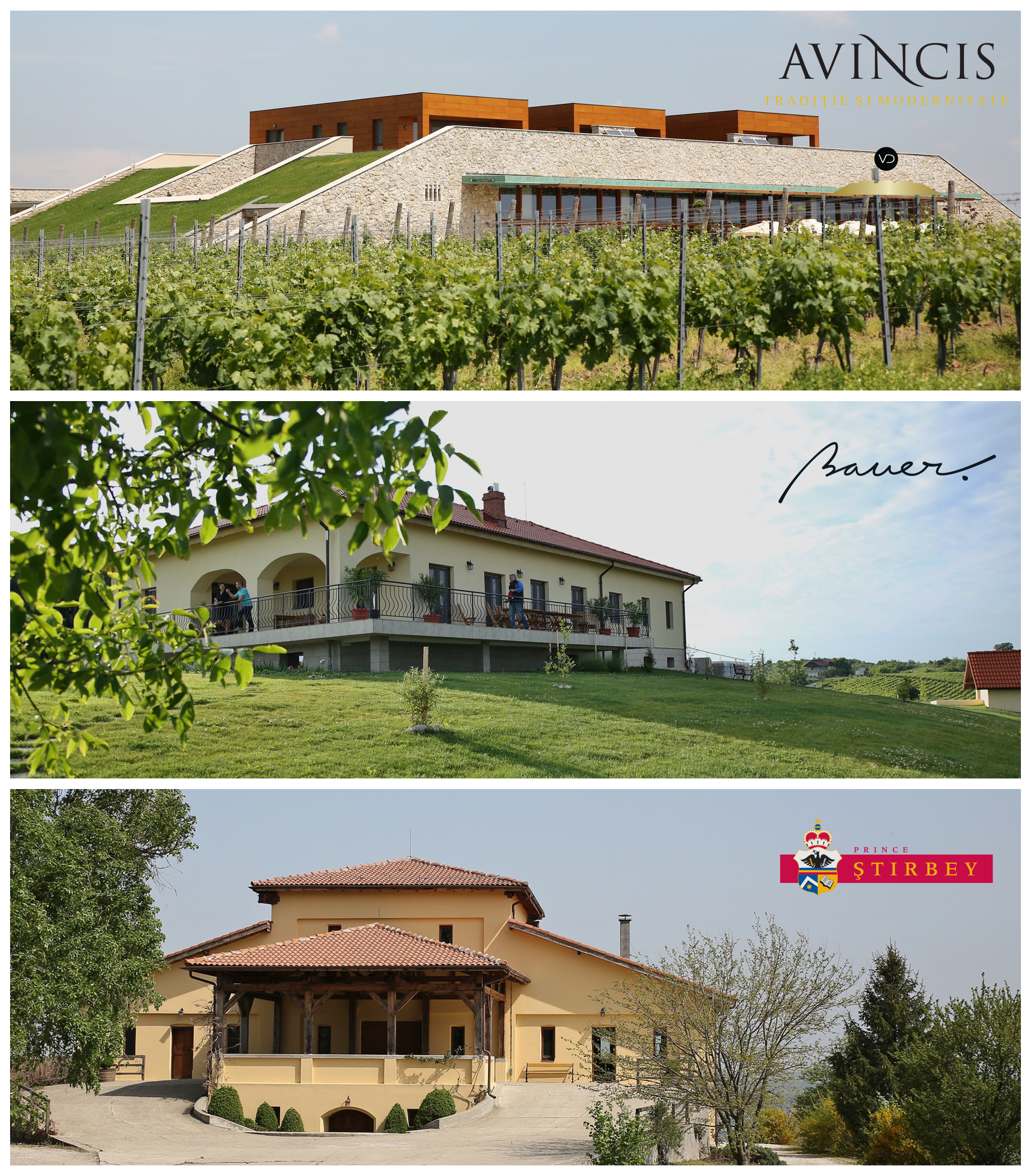 Dragasani Wineries visits